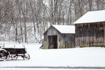 Farm Grove in Winter