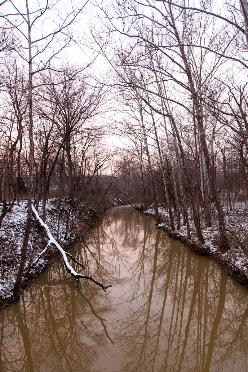 Woodland Brook in Winter