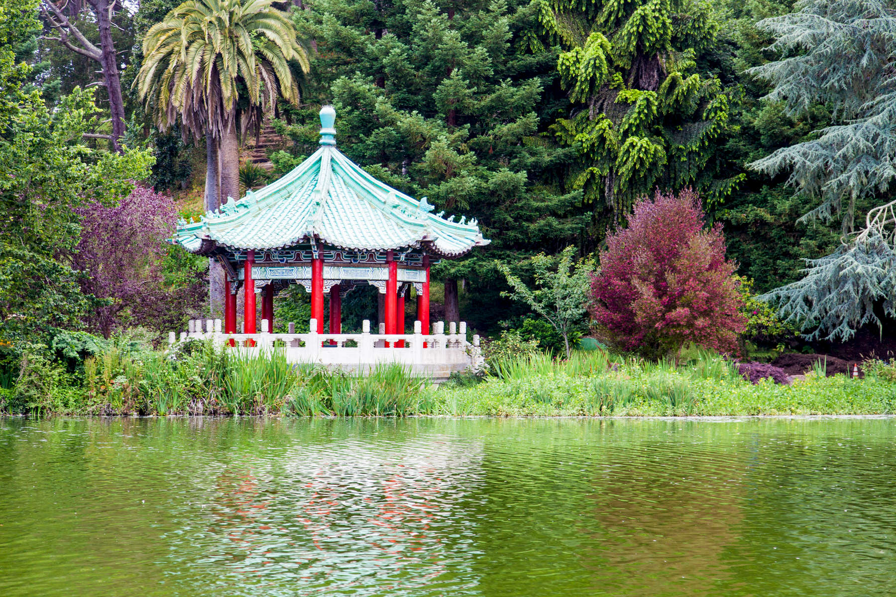 Dedicated in 1981, Golden Gate Park received the Chinese Pavilion as a gift from San Francisco’s sister city, Taipei, Taiwan. The Pavilion is located at Stow Lake, which comes complete with an island and waterfall. The semi-red structure is beautifully decorated with carvings and decorative roof, offering a peaceful setting amidst the water, trees, turtles, and blue herons.