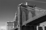 Roebling began dreaming of spanning the East River between New York and Brooklyn (which were then two separate cities) as early as 1857, when he drew designs for enormous towers that would hold the bridge's cables. At the time Roebling knew the bridge would have to be the largest bridge ever built, nearly twice the length of the famed Menai Suspension Bridge, which had heralded the age of great suspension bridges when it opened in 1826.Perhaps the greatest innovation dictated by John Roebling was the use of steel in the construction of the bridge. Earlier suspension bridges had been built of iron, but steel would make the Brooklyn Bridge much stronger.By the time it was finished in 1883, the bridge had cost about $15 million, more than twice what John Roebling had originally estimated. And while no official figures were kept on how many men died building the bridge, it has been reasonably estimated that about 20 to 30 men perished in various accidents.This image was taken rom Staten Island Ferry, East River.