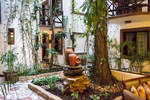 Posada Mariposa Hotel - Playa del Carmen, Mexico.  I was having dinner with my wife when I noticed the lovely large potted plants outside, and warm glow coming from lamps inside a quaint building across the street. My curiosity got the best of me and I decided to take a look inside.  This image is the view that greets guests as they check in at the front desk of the hotel.  The desk attendant informed me that all the rooms face towards this charming interior courtyard of plants, trees and vines.