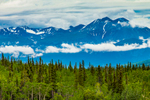 Taiga Forest and Coast Mountains along the Klondike Highway, north of Skagway, Alaska and south of Carcross, Yukon.  Mountain peaks and clouds occupying the same space creating an interesting visual effect.  Clouds can form in mountains when wind blows across a mountain range, forcing the air to rise and condense as it cools forming clouds.