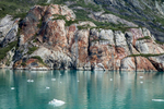 Glacier Bay, Alaska - Red colored cliff-face near Margerie Glacier.  Red Bluff takes its name from the bare, reddish-brown weathered surface of the igneous rocks that crop out on steep slopes and rise from the shore.  The color is the result of oxidation of iron and magnesium minerals over time.  Glacial ice is seen floating in the foreground.