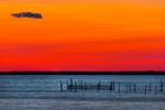Bird On A Wire. Sunset/Landscape shot by fine art photographer John Mazlish on the beach outside of Sag Harbor, NY. Ideal artwork for home interiors, hotel and corporate settings.