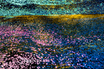 Spring Puddle Abstract