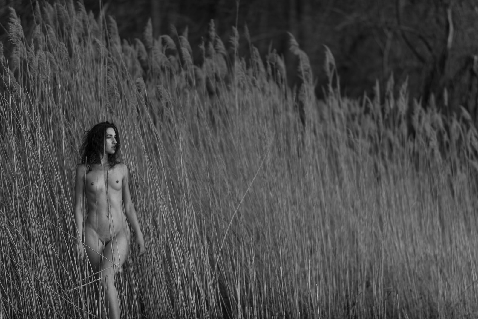 Helena in the Reeds