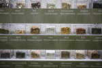 Vegetable seeds are exhibited at the 53rd agricultural fair Agra in Gornja Radgona, Slovenia, Aug. 22, 2015, following an international conference on GMOs in Europe held the day before.