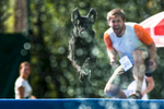 Tekmovanje psov v skoku v vodo Flying Dogs / Flying Dogs competition