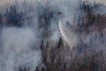 Gozdni požar nad Preddvorom, 2022 / Forest fire, Preddvor, 2022