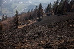 Gozdni požar nad Preddvorom, 2022 / Forest fire, Preddvor, 2022