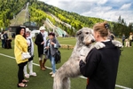 Evropska razstava hrtov, Planica, 2019 / Euro Sighthound Show, Planica, Slovenia, 2019