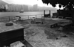 A neighborhood park in the Lei Yue Mun District, known for its seafood markets and fishing villages, overlooks Victoia Bay and the Financial Center of Hong Kong Island. Kowloon Peninsula, Hong Kong