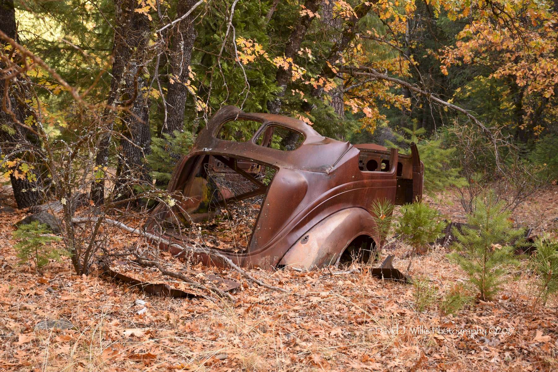 Junked Split Window Coupe, Indian Valley, Fall, Plumas County