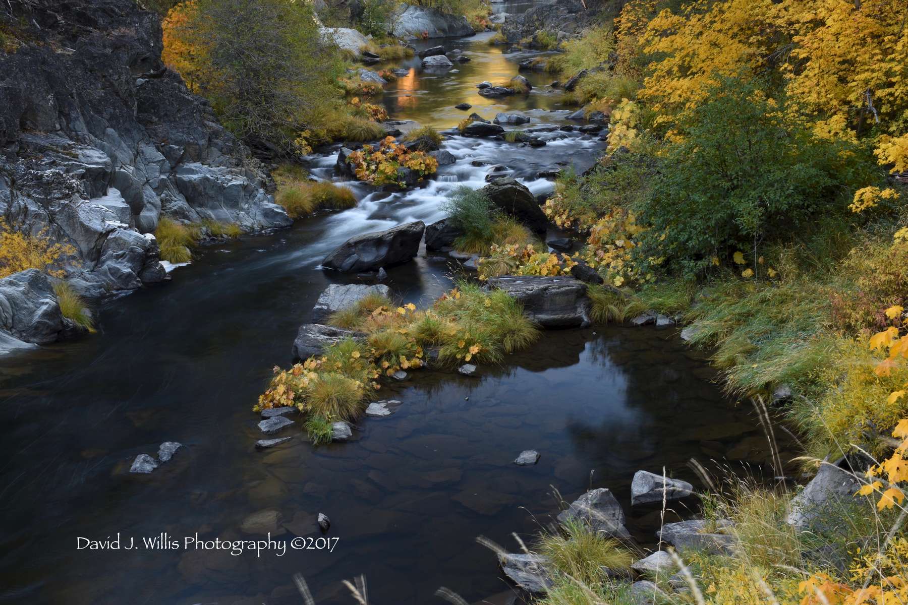 Fall Color, Keddie Cascades, Spanish Creek, Plumas County