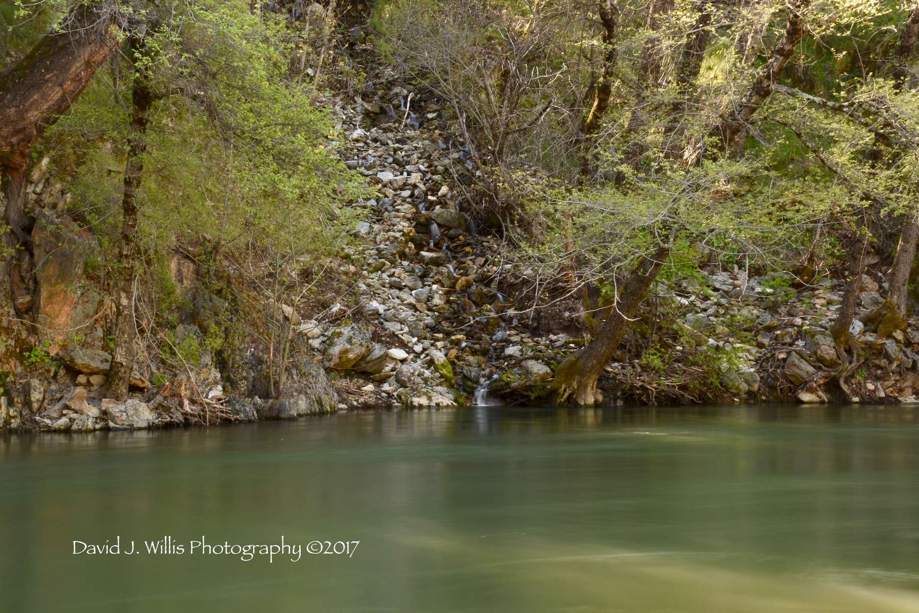 Spanish Creek, Plumas County, Spring