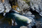 Rocks and Indian Rhubarb, Keddie Cascades, Spanish Creek, Fall, Plumas County