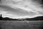 Round Valley Resevoir, Windblown Grasses, Keddie Ridge, Plumas County