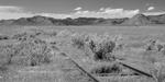 Sierra Valley, A24, Abandoned Tracks IV, Sugar Loaf, Plumas County