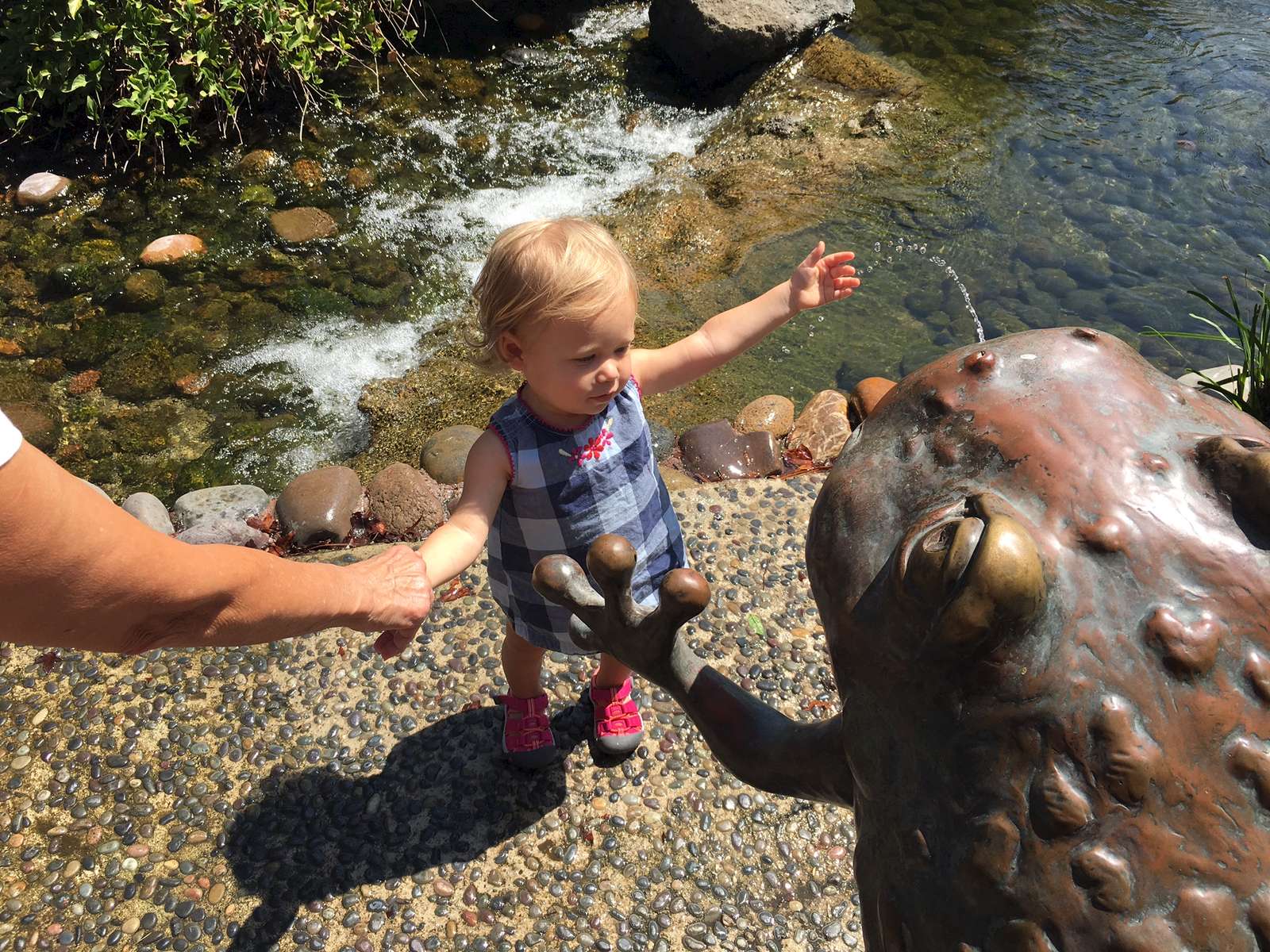 She loved the turtles, fish and the big spitting frog