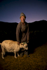 Man and goat, Changthang