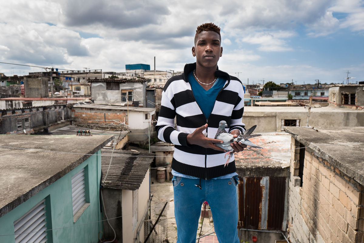 El Cerro, Havana   Samuel Enrique Acuna Teran, 18, poses with a pigeon on the roof of his family' house in El Cerro municipality. He put his civil engineer studies on hold to pursue a career as a reggeaton singer.