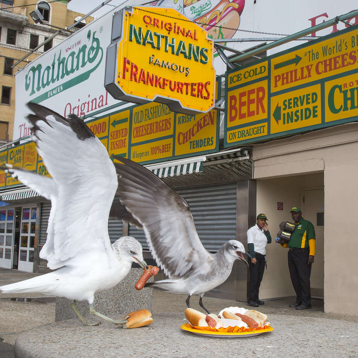 Next up in my A to Z of New York Food: F IS FOR FRANKFURTER! AKA the hot dog. New York is known for its dogs. I’ve eaten my fair share of NY street cart hot dogs (I prefer the spicier hot sausage) but my favorite is the one and only Nathan’s Famous of Coney Island. Nathan’s started in 1916 as a small cart and has grown to be a publicly traded, franchised company with stores around the world. Summer doesn’t feel complete without a subway ride to the home of Nathan’s Hot Dog Eating Contest and a stroll on the Coney Island Boardwalk. Tag your food alphabet F photo with #TNYeats so everyone can see. #hotdog #coneyisland #food newyork. Photo: @jamespomerantz WARNING: The seagulls almost ate me. Do not try to share a hot dog with them. Also, don’t try to break Joey Chestnut’s 2013 world record of eating 69 hot dogs in 10 minutes.