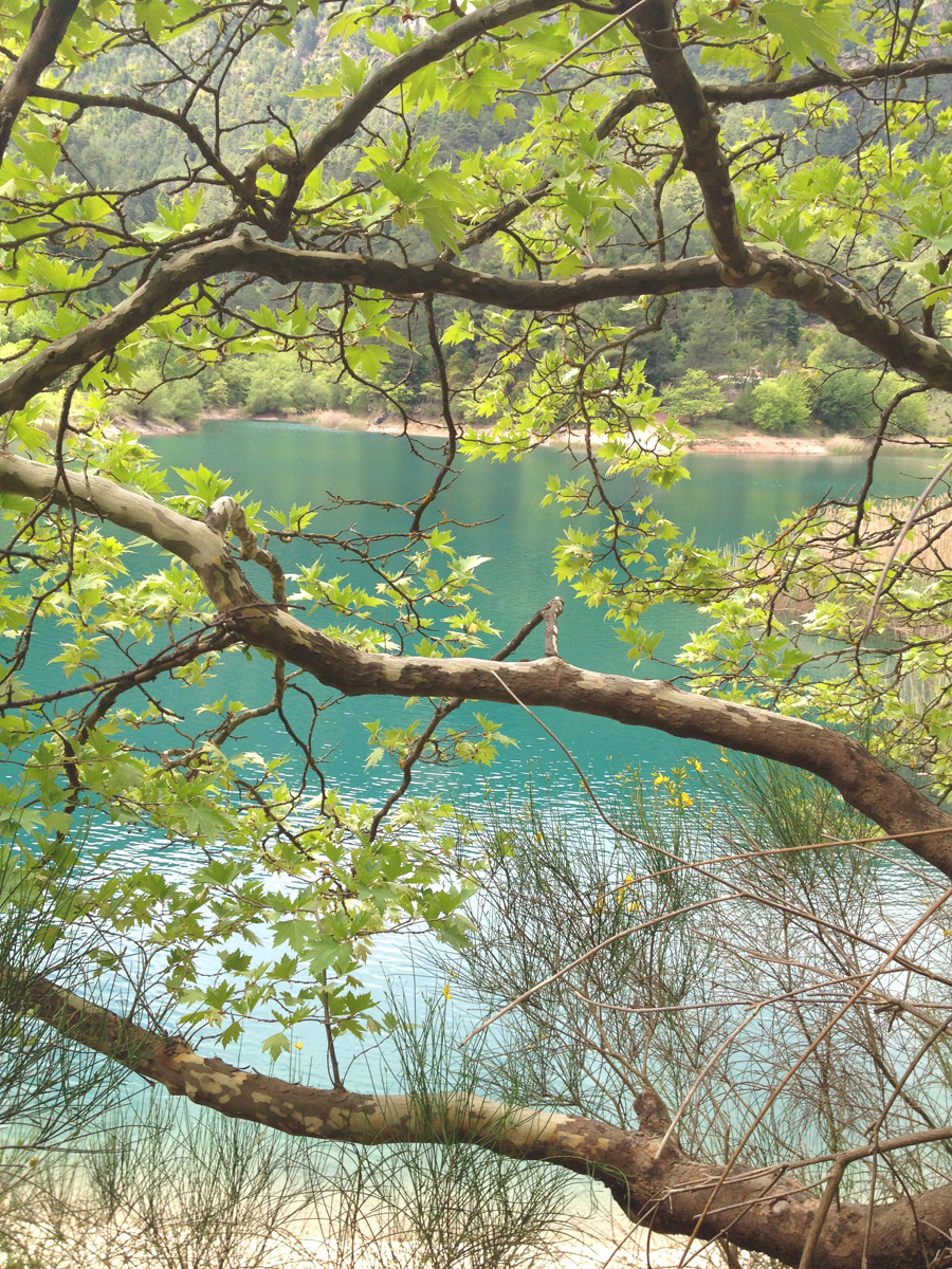 plane-tree-lake