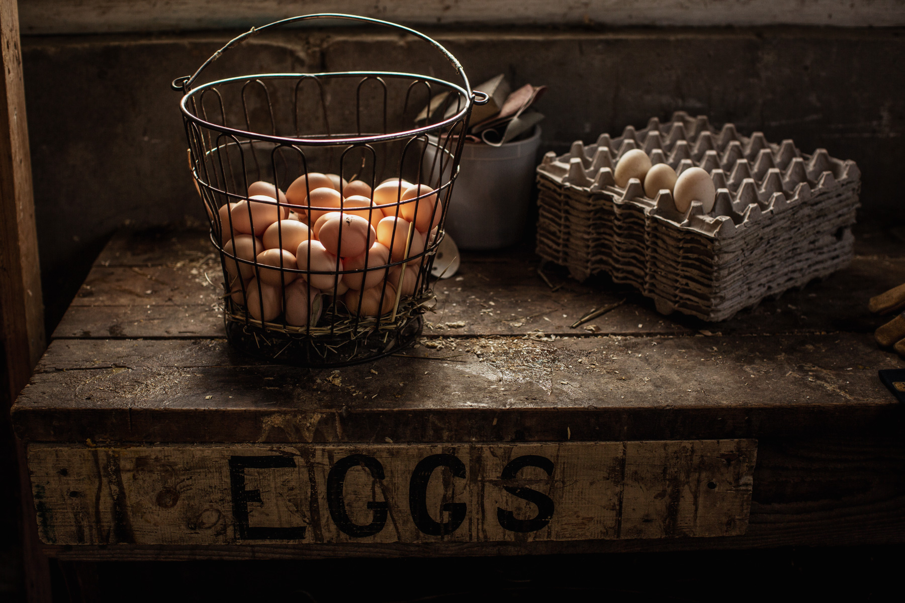 egg-basket-harvest