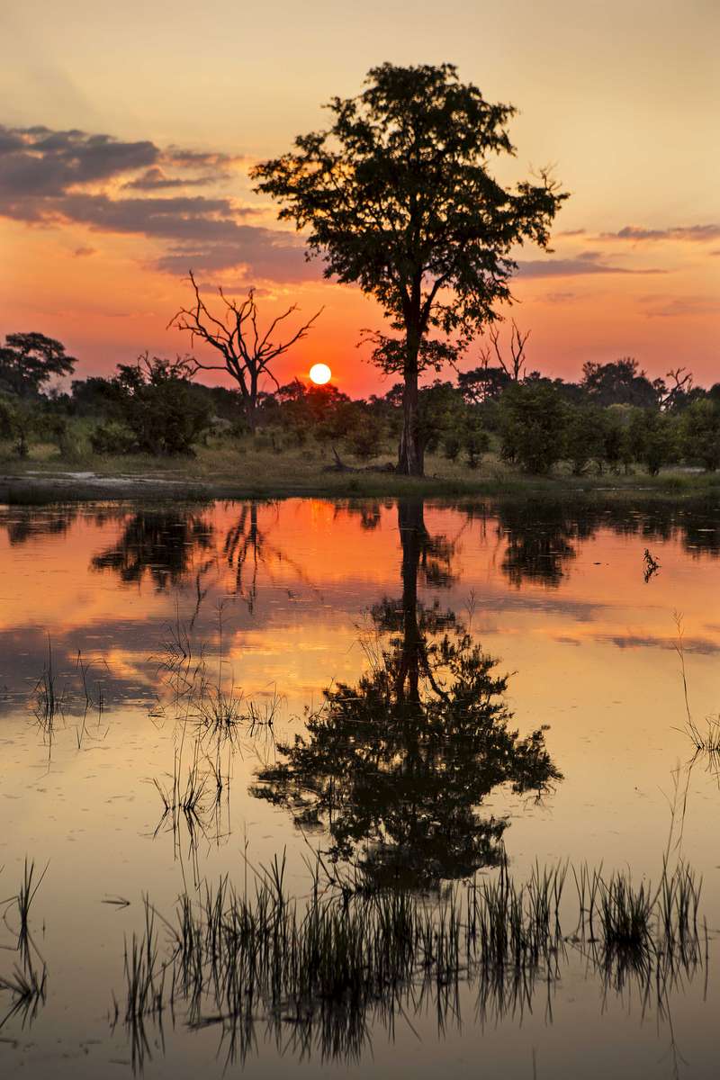 Sunset, Botswana