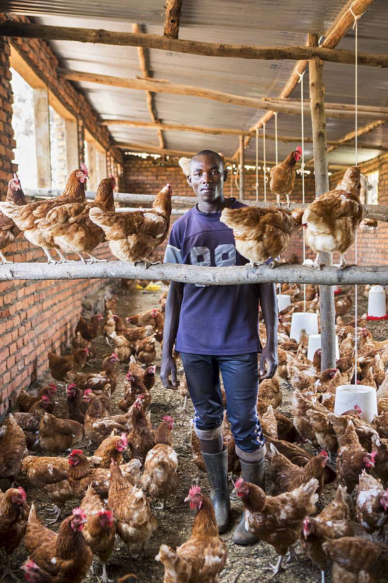 Chicken cooperative, Rural Rwanda