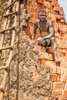 Brick maker, Uganda