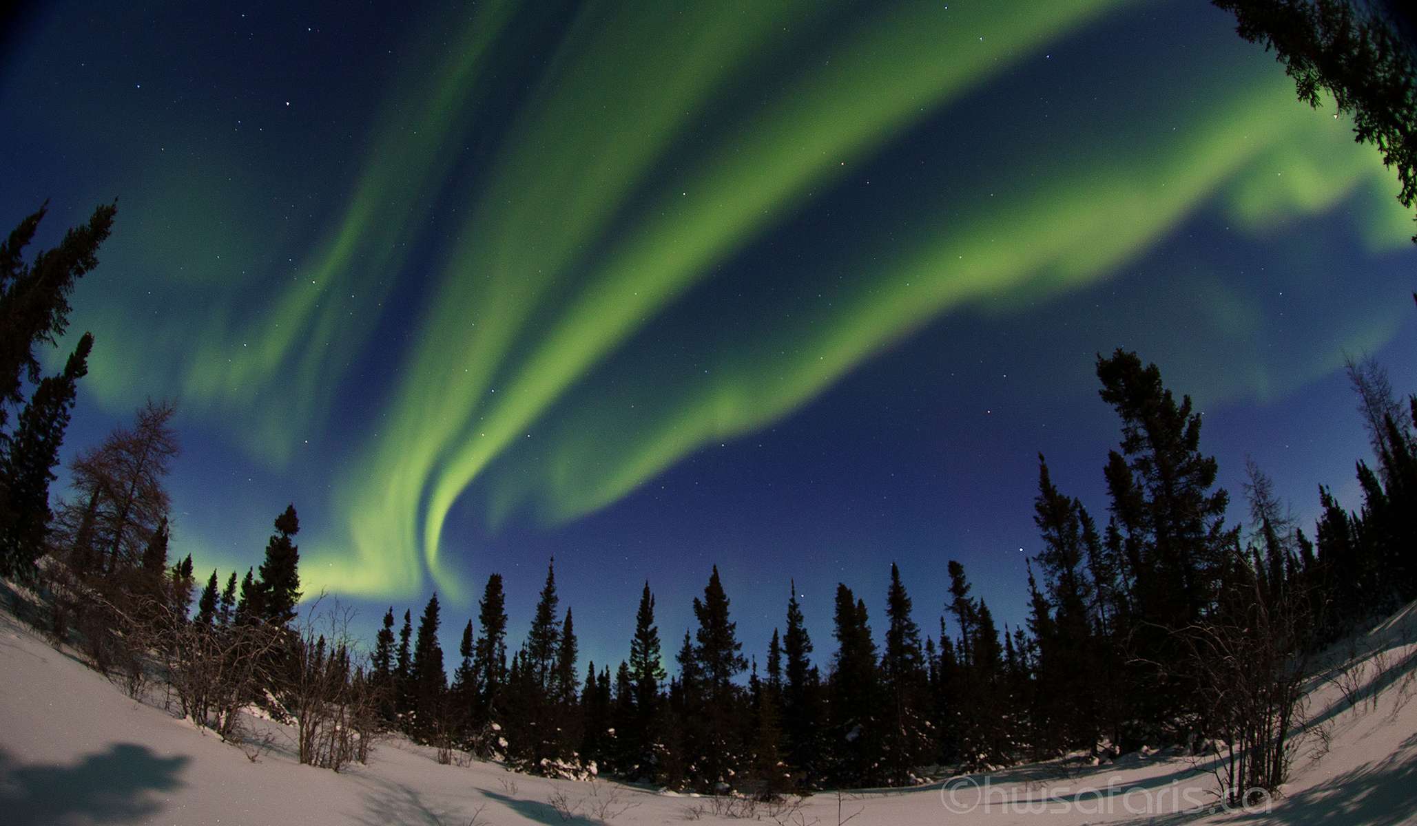 Picture of aurora borealis