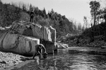 Lâchers de truites, organisés par la Fédération de pêche du Gard, pour tenter de repeupler la rivière suite aux inondations.Haute vallée de l’Hérault, 26 mars 2021