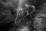 Des membres de la Fédération de pêche du Gard réalisentune pêche électrique à l’emplacement du barrage estivaldu Mouretou, près de Valleraugue. Les poissons seront ensuite relâchés plus bas. 16 juin 2022.