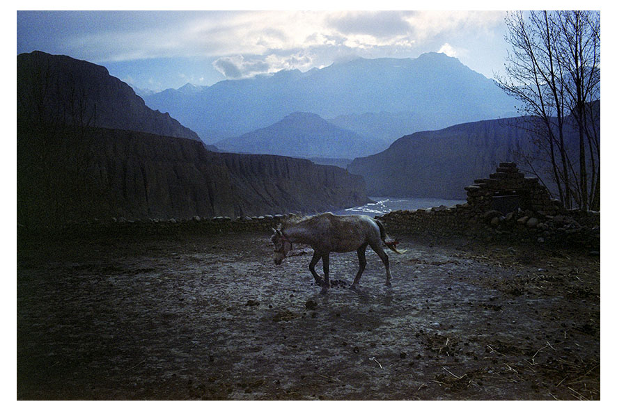 Tangye, 11,400 feet is the oldest village in Mustang. No roads in mustang for vehicles. Food supplies and other necessities are brought on the back of mules or carried by the men themselves. Tangye, Mustang region, Nepal, April 2009.