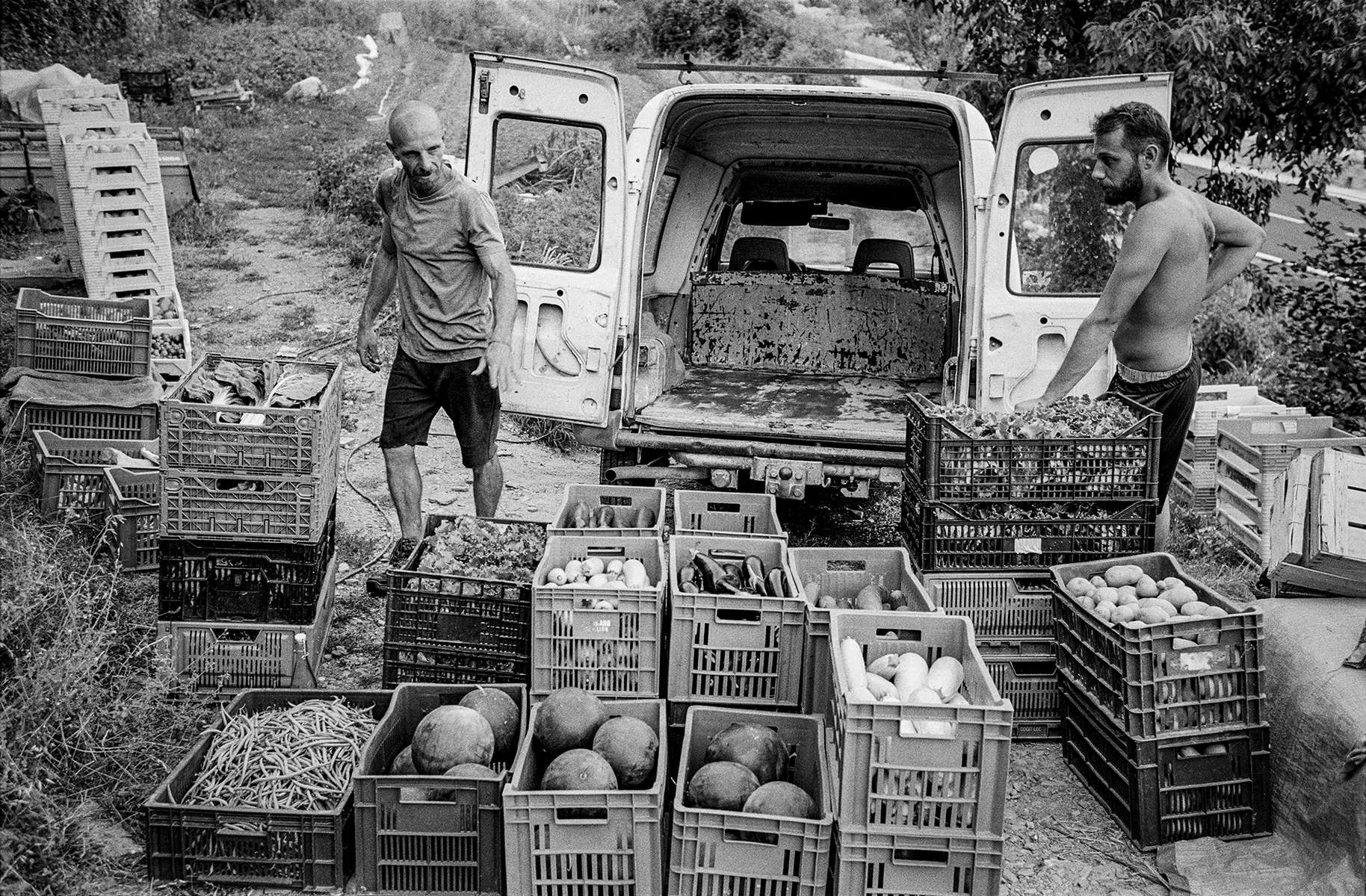 Gregory Triaire (à gauche), aidé de son frère Arnaud, prépareles caisses de légumes pour le marché du Vigan. La crue a emporté certaines de ses terres cultivées, il a dû en chercher d’autresen hauteur pour poursuivre son activité. 12 août 2021.