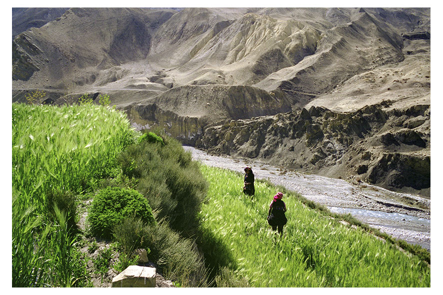 Villagers in in the fields. The inhabitants of the Mustang region cultivate their own food – cereal, potatoes, apples… The surplus is sold in the surrounding villages. Mustang region, Nepal, April 2009.