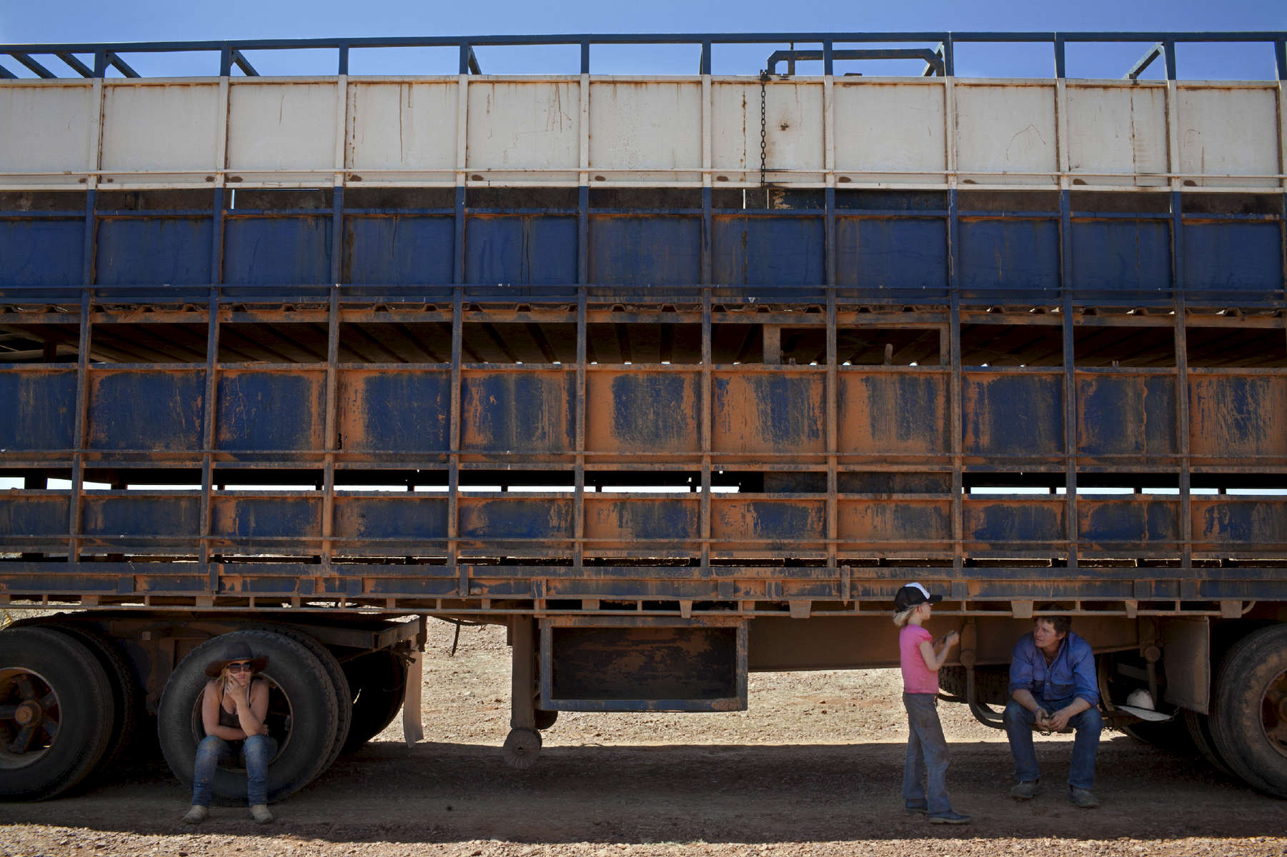 Cassandra, Cassie et Luke se reposent à l'ombre d'un road train. Camion les plus long du monde pouvant atteindre 53 mètres de long.  Le road train va effectuer 3 à 4 voyages par jour et ce pendant 5 jours entre le lieu de parcage et la ferme. A son bord, à chaque voyage, une centaine de bêtes sont réparties sur deux étages. Le prix moyen - selon leur poids - est de 1000 dollars australiens par tête. TN,  Australie, 2011. 