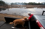 Medway Plantation property manager Bob Hortman and his dog Cooper, watch over a controlled burn at Medway Plantation, February 17, 2012 in Goose Creek, S.C. Hortman has lived and worked on the property for 34 years and oversees the day-to-day operations and maintenance of the plantation. Medway Plantation has 6728 total acres of land with 50 miles of maintained roads. In the South Carolina Lowcountry, more than a half-dozen antebellum plantations, which don't change hands often, are for sale.   REUTERS/Randall Hill