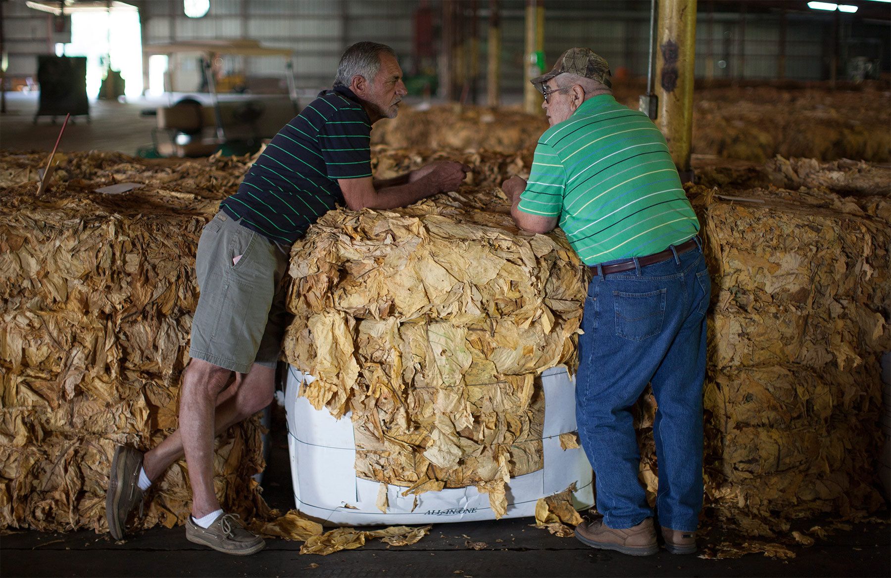 A day before the markets open, tobacco farmer Pressley Johnson (left) and warehouse manager Elton Johnson talk by a bundle of tobacco at the Big L Warehouse in Mullins, South Carolina July 26, 2013. The warehouse is co-owned by farmer Johnny Shelly but leased to the US Tobacco Cooperative during harvest. The cooperative sets the standard for pricing and quality of the farmer's crop. The traditional tobacco harvest requires many labor intensive hours to bring the crop to market, especially with the flue-cured variety prominent in the southern United States. With the growing health concerns with smoking in the US, most farmers use market cooperatives to sell their crop to the growing markets in China. Picture taken on July 26, 2013.   REUTERS/Randall Hill (UNITED STATES)
