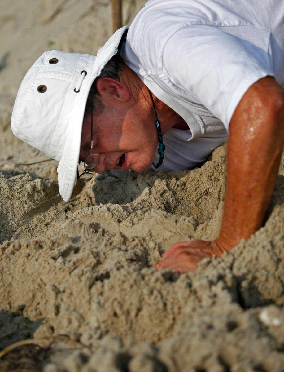 South Carolina United Turtle Enthusiasts (SCUTE) head coordinator Jeff McClary digs in the sand to locate a Green turtle nest on Garden City Beach, South Carolina August 13, 2012. Green turtles are even more endangered than Loggerheads and the group has secured 4 nests on this beach this nesting season.REUTERS/Randall Hill