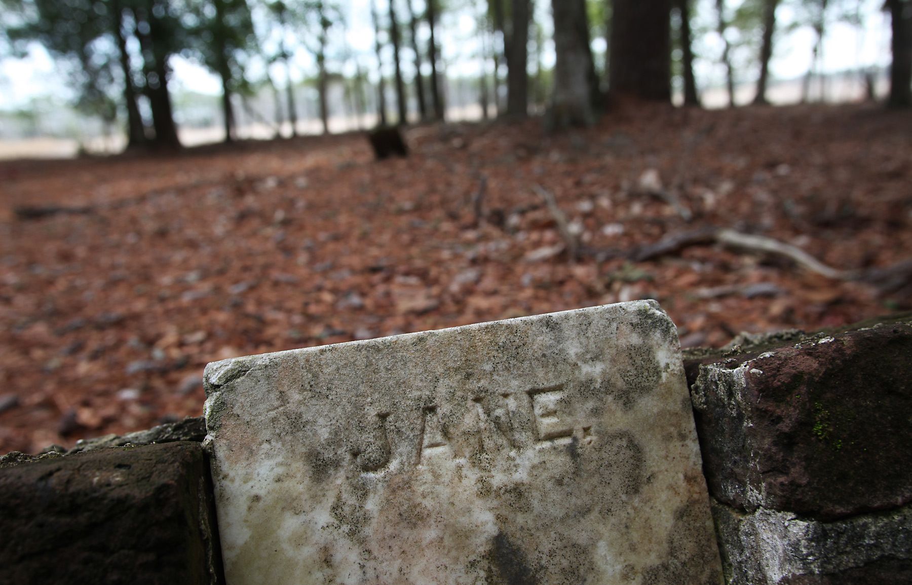 A grave stone with just the first name of Jane shows the passage of time at the slave cemetery at Friendfield Plantation February 17, 2012, in Georgetown, S.C.  According to the 1860 census, 273 slaves lived at Friendfield Plantation. The property has ties to Michelle Obama's family in South Carolina. According to plantation employees, Obama's great-great-grandfather, Jim Robinson, was a slave at Friendfield Plantation. In the South Carolina Lowcountry, more than a half-dozen antebellum plantations, which don't change hands often, are for sale. REUTERS/Randall Hill