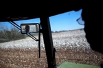 Farm worker Frank Moore operates a cotton transport on the Baxley & Baxley Farm in Minturn, South Carolina November 24, 2012. Moore who is in his 60s, has worked with the Baxley family his entire adult life.   REUTERS/Randall Hill (UNITED STATES)