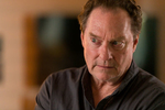 Stephen Root, Four Good Days.