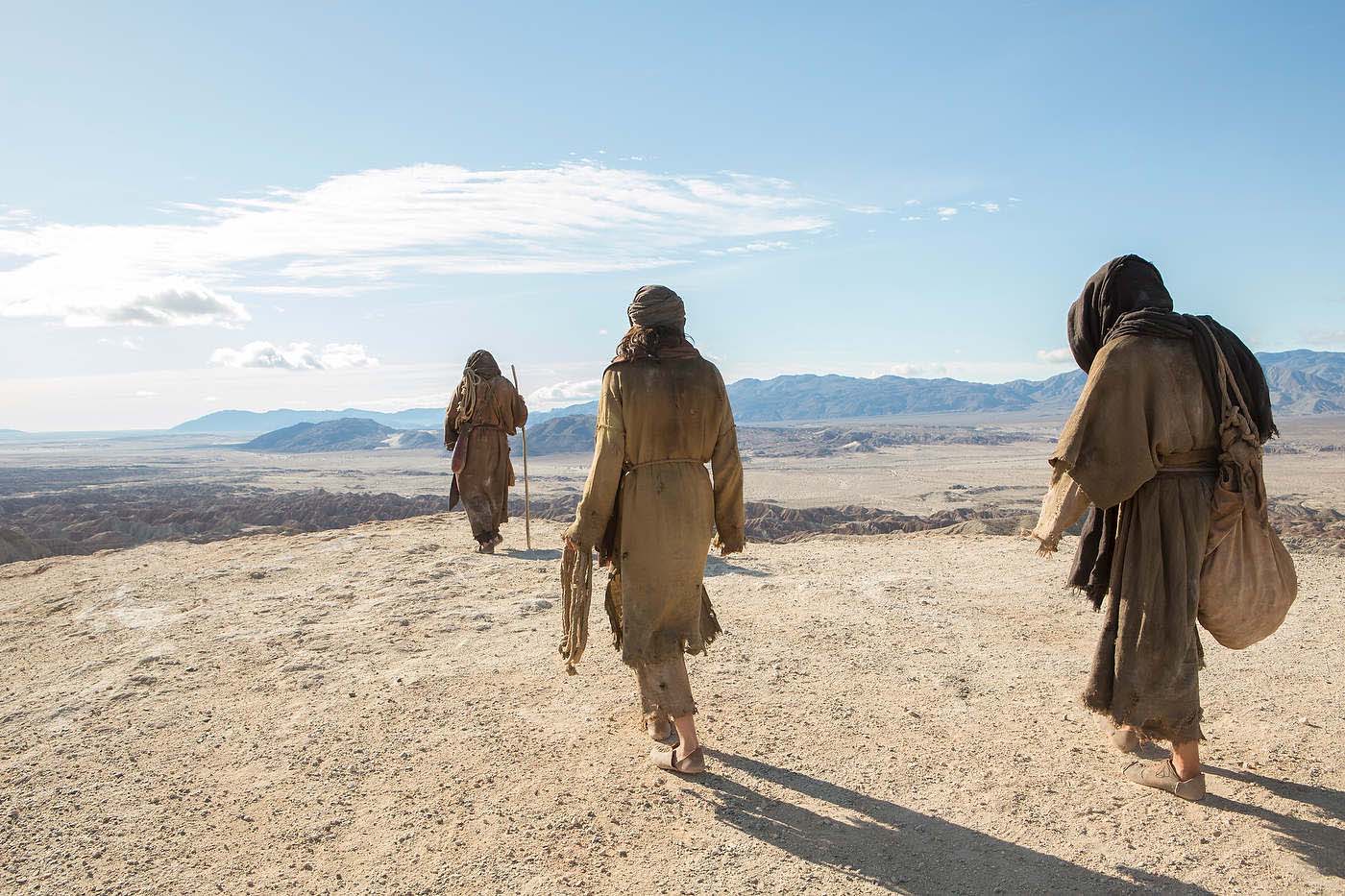 Ewan McGregor, Tye Sheridan and Ciarán Hinds, Last Days in the Desert.