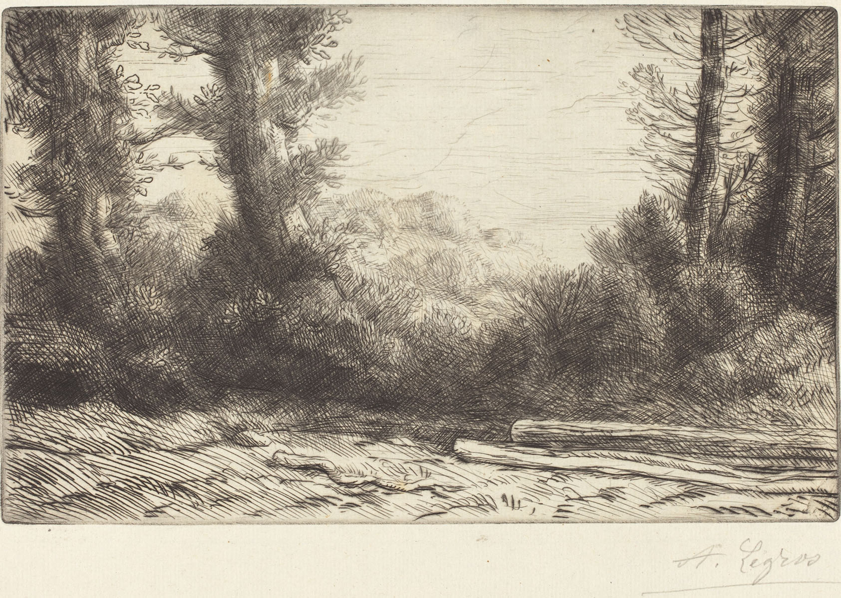 Alphonse Legros, Edge of a Wood (Lisiere de bois), French, 1837 - 1911, , etching and drypoint, Gift of George Matthew Adams in memory of his mother, Lydia Havens Adams
