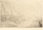 Alphonse Legros, Riverbank (Bord de la riviere), French, 1837 - 1911, , drypoint and (etching?), Gift of George Matthew Adams in memory of his mother, Lydia Havens Adams
