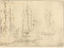 Alphonse Legros, Landscape (Paysage), French, 1837 - 1911, , etching and drypoint, Gift of George Matthew Adams in memory of his mother, Lydia Havens Adams