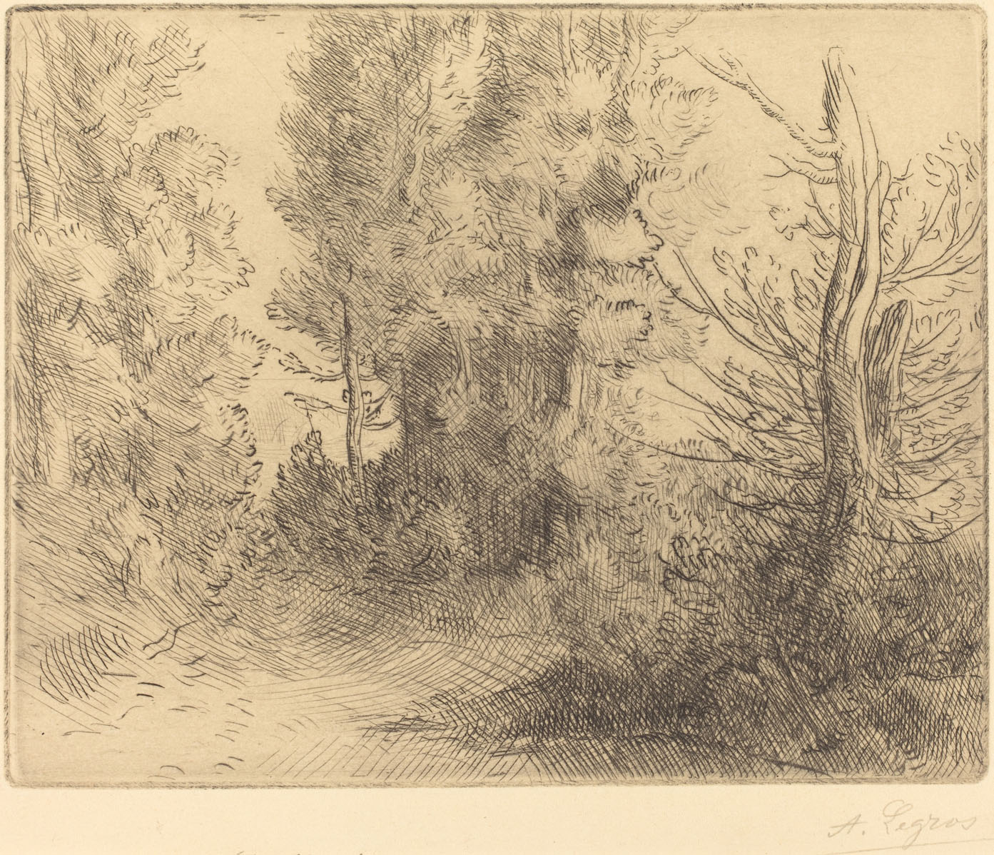 Alphonse Legros, Landscape: Near Chailleux (Paysage: Pres Chailleux), French, 1837 - 1911, , etching and drypoint?, Gift of George Matthew Adams in memory of his mother, Lydia Havens Adams